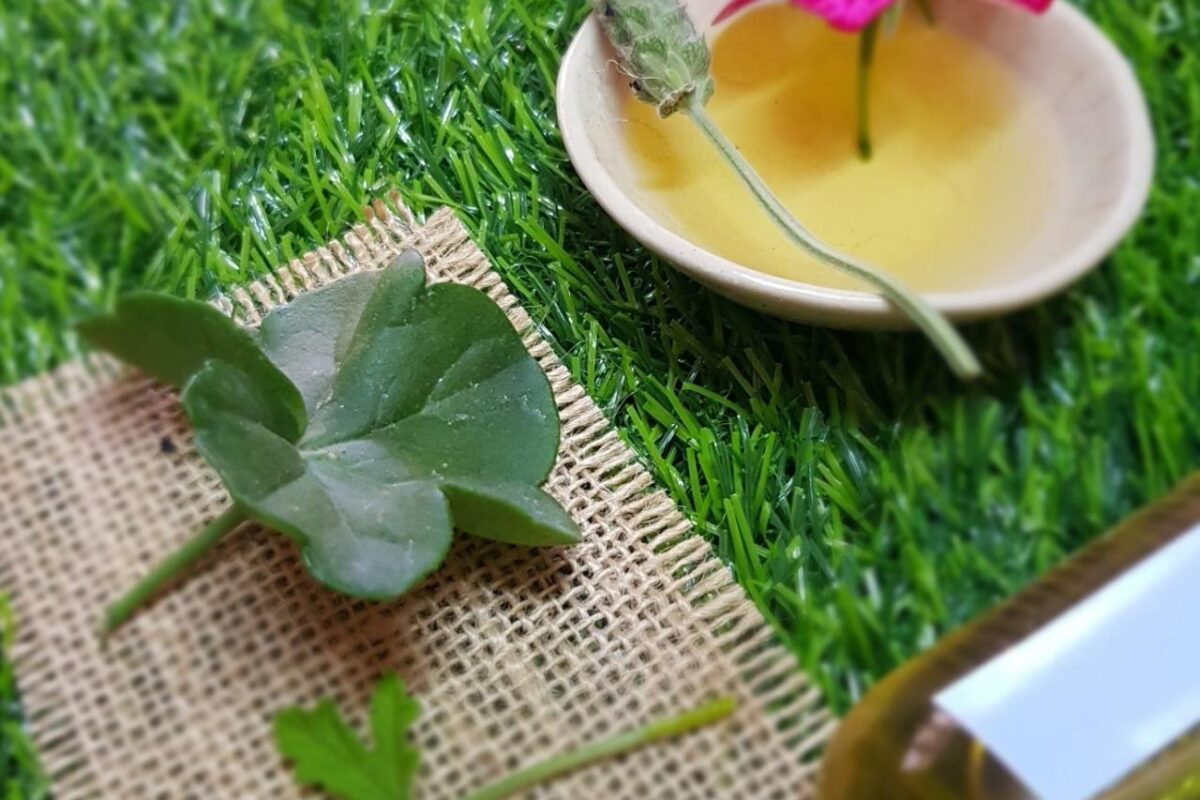 Hydrating body oil for radiant skin health