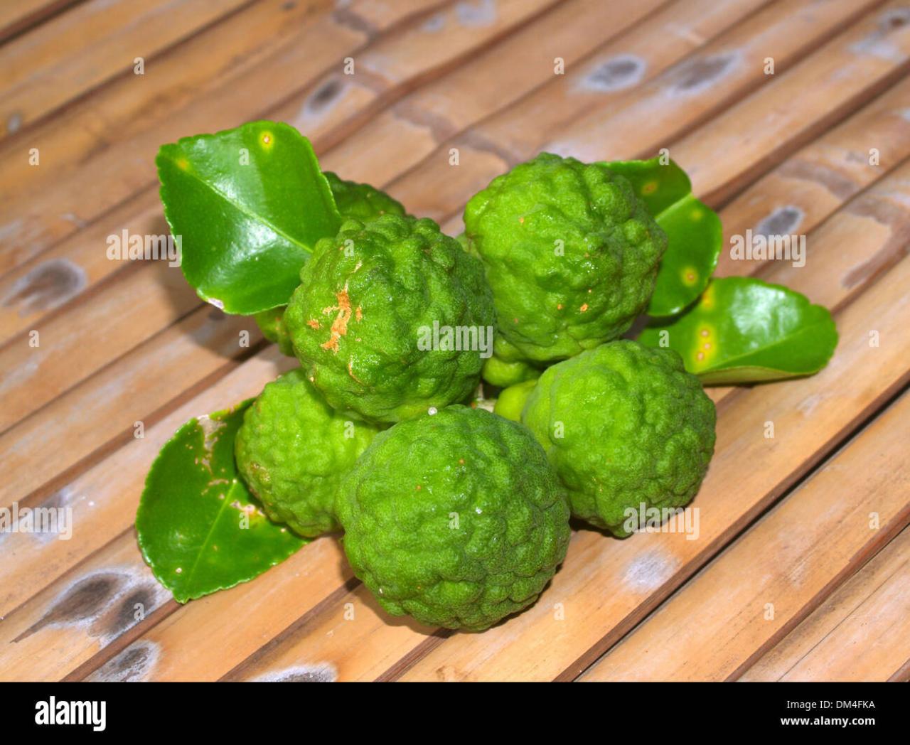 Bergamot Essential Oil — Shanti Aromatherapy