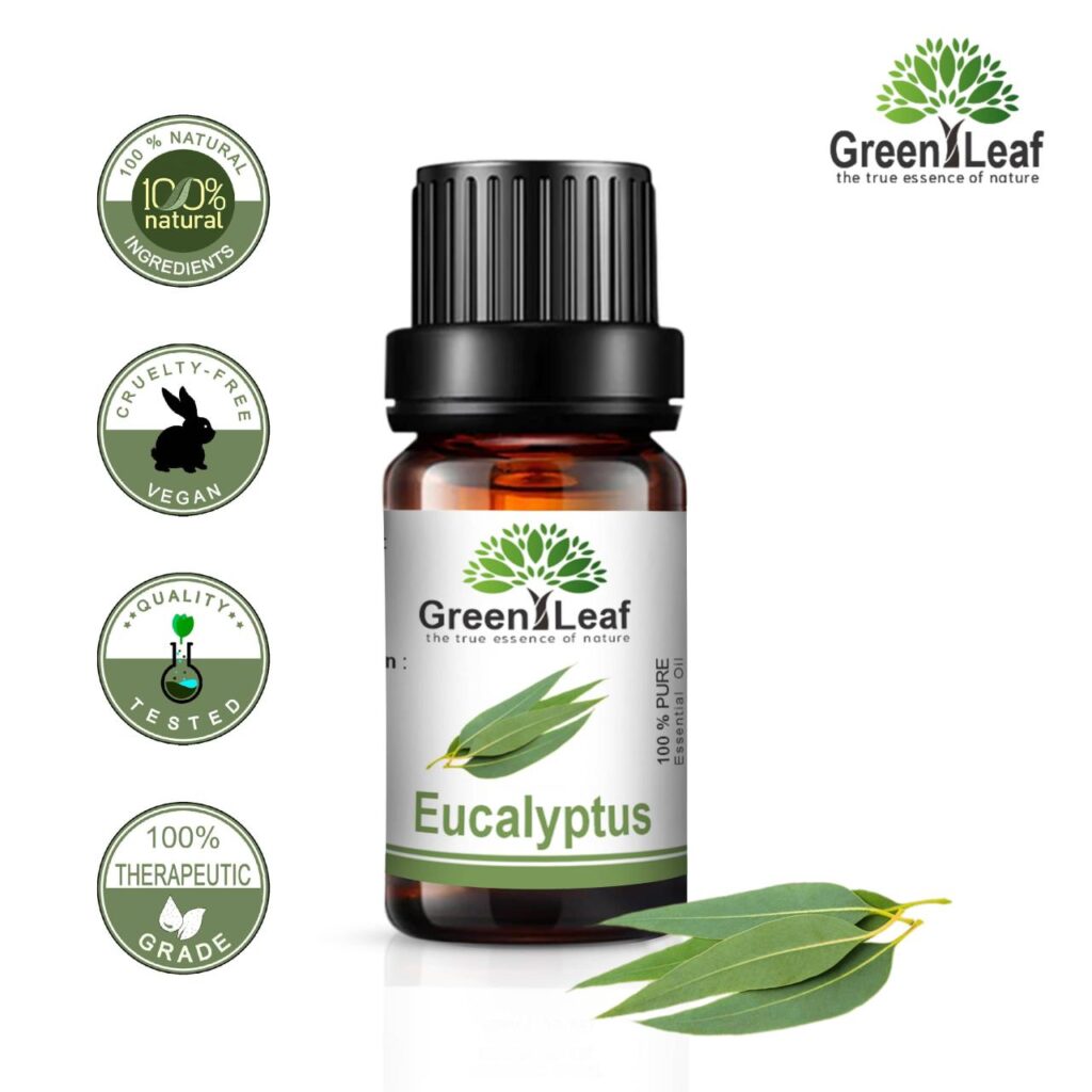 Eucalyptus oil Origins Benefits and Applications