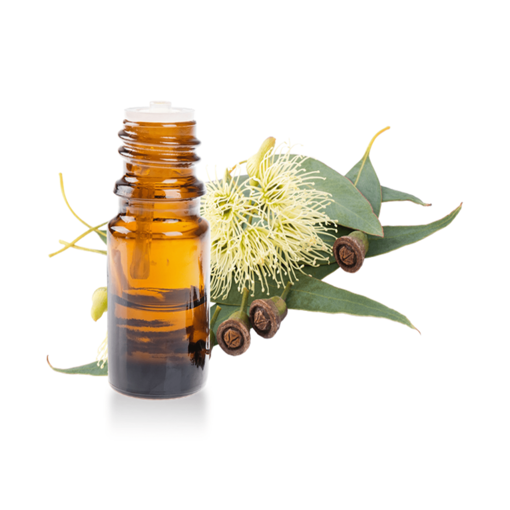 Eucalyptus Oil