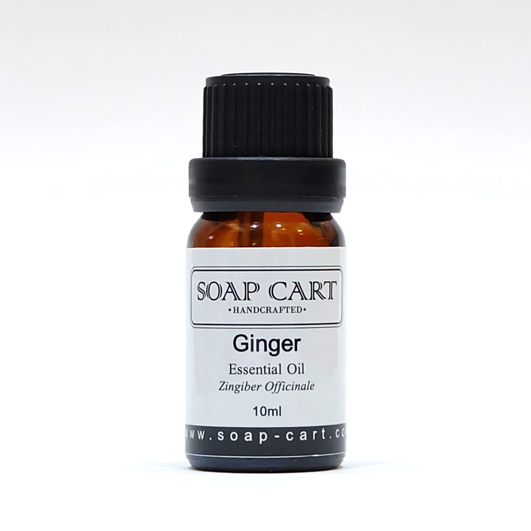 Ginger Essential Oil | SOAP CART Ginger Essential Oil | SOAP CART