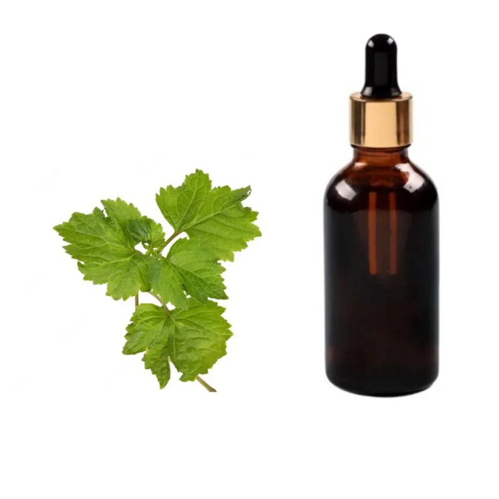 Patchouli Oil