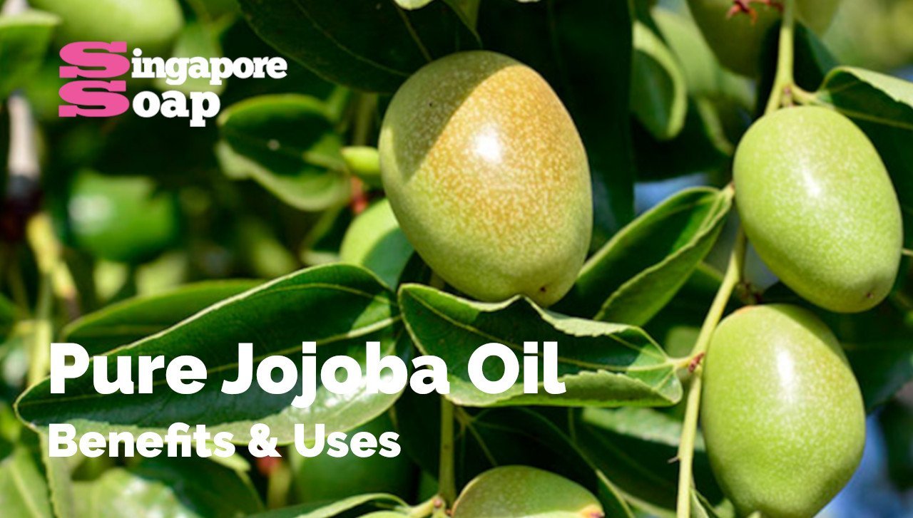 Jojoba Oil: 10 Beauty Benefits - Masala.com