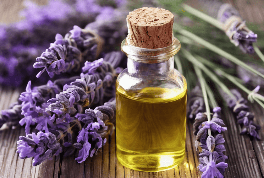Lavender Oil
