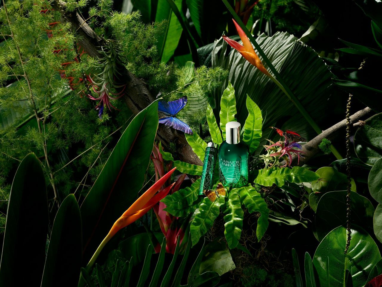 Whether you need soothing scents for your home or inviting fragrance ...