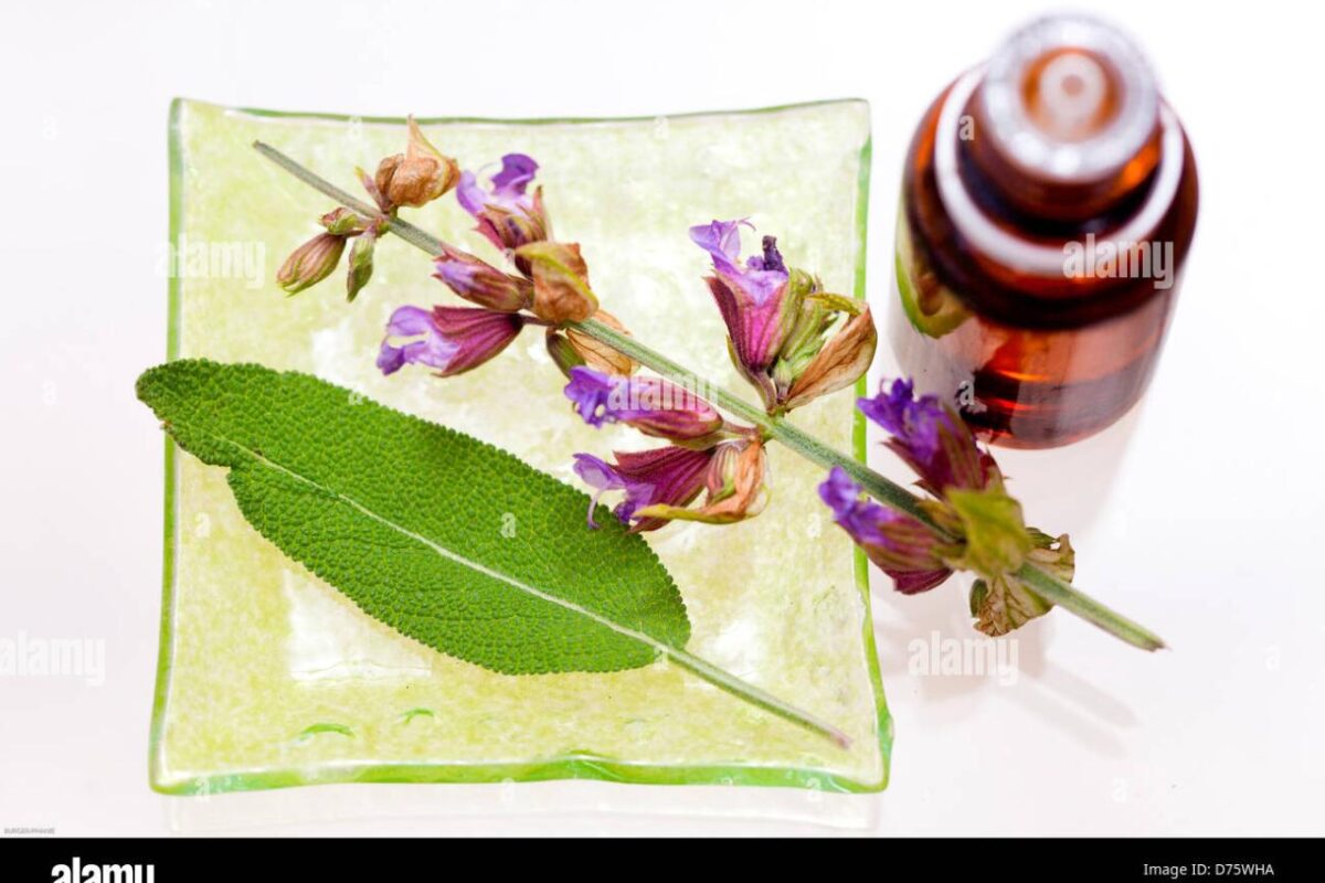 Clary Sage Essential Oil