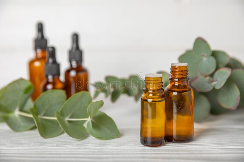 Eucalyptus Essential Oil