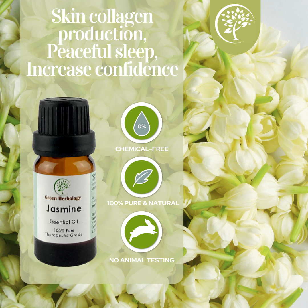 Jasmine essential oil