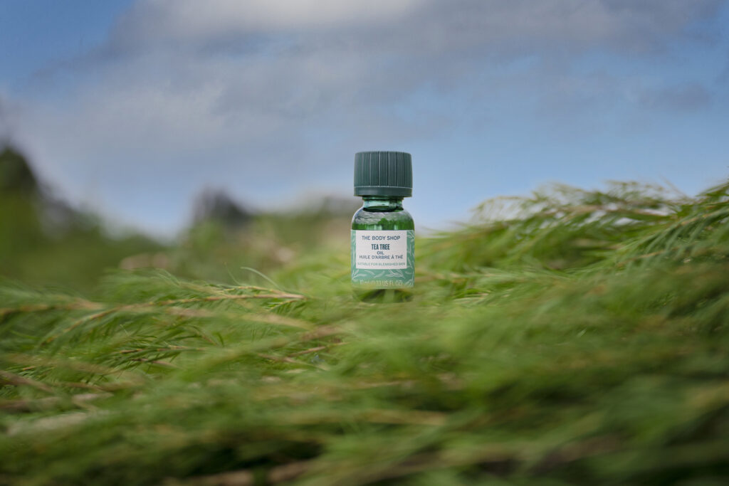 Tea Tree Body Oil