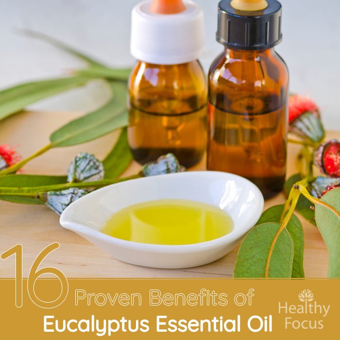 Eucalyptus Oil For Body